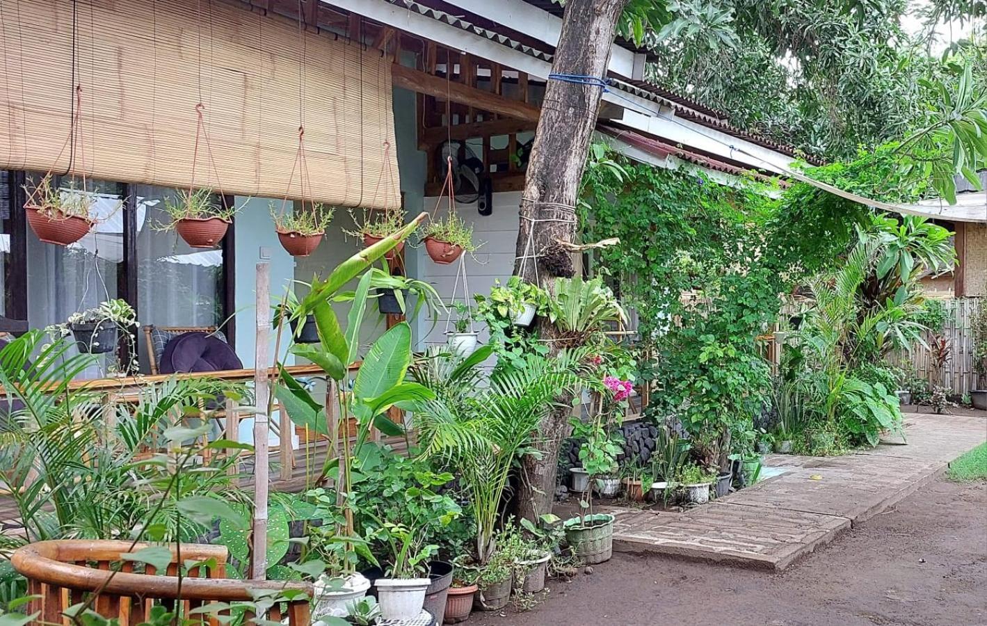 Marta House Gili Air Hotell Eksteriør bilde